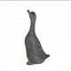Figura DRITTO