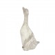 Figura DRITTO