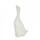 Figura DRITTO
