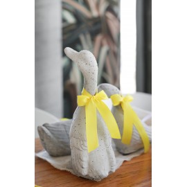 Figura DRITTO