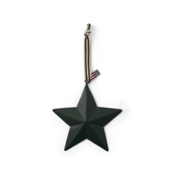 Zawieszka Gwiazda-Metal Star-12x12-Green-12240206-Lexington