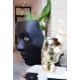 A_Fotel-NEMO ARMCHAIRS-driade