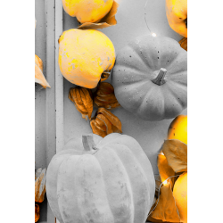 Dynia Duża ozdobna figurka betonowa