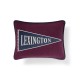 Flag Logo Wool Mix Patch 40x30 Pillow