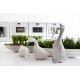 Figura DRITTO