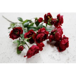 Róża dzika gałązka czerwona 75 cm