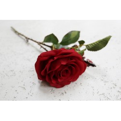 Róża rozwinięta gałązka czerwona 50 cm