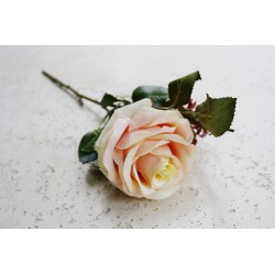 Róża rozwinięta gałązka kremowa 50 cm