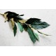 Gałąź liści Magnolii 75 cm