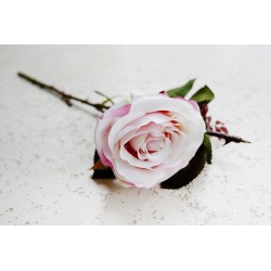 Róża gałązka 50 cm różowa