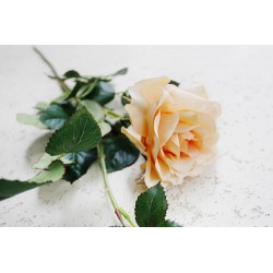 Róża pojedyncza 70 cm
