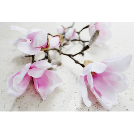 Magnolia gałąź różowa 100 cm 