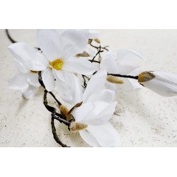 Magnolia gałąź biała 105 cm