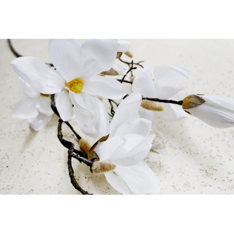 Magnolia gałąź biała 105 cm