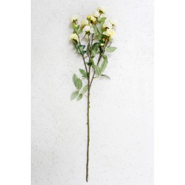Róża dzika gałązka żółta 75 cm