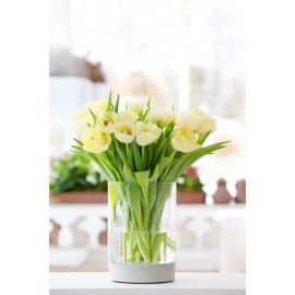 Słój szklany z podstawą betonową cylinder