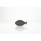 Fish Set